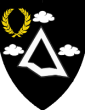 hiddenmountainlogo